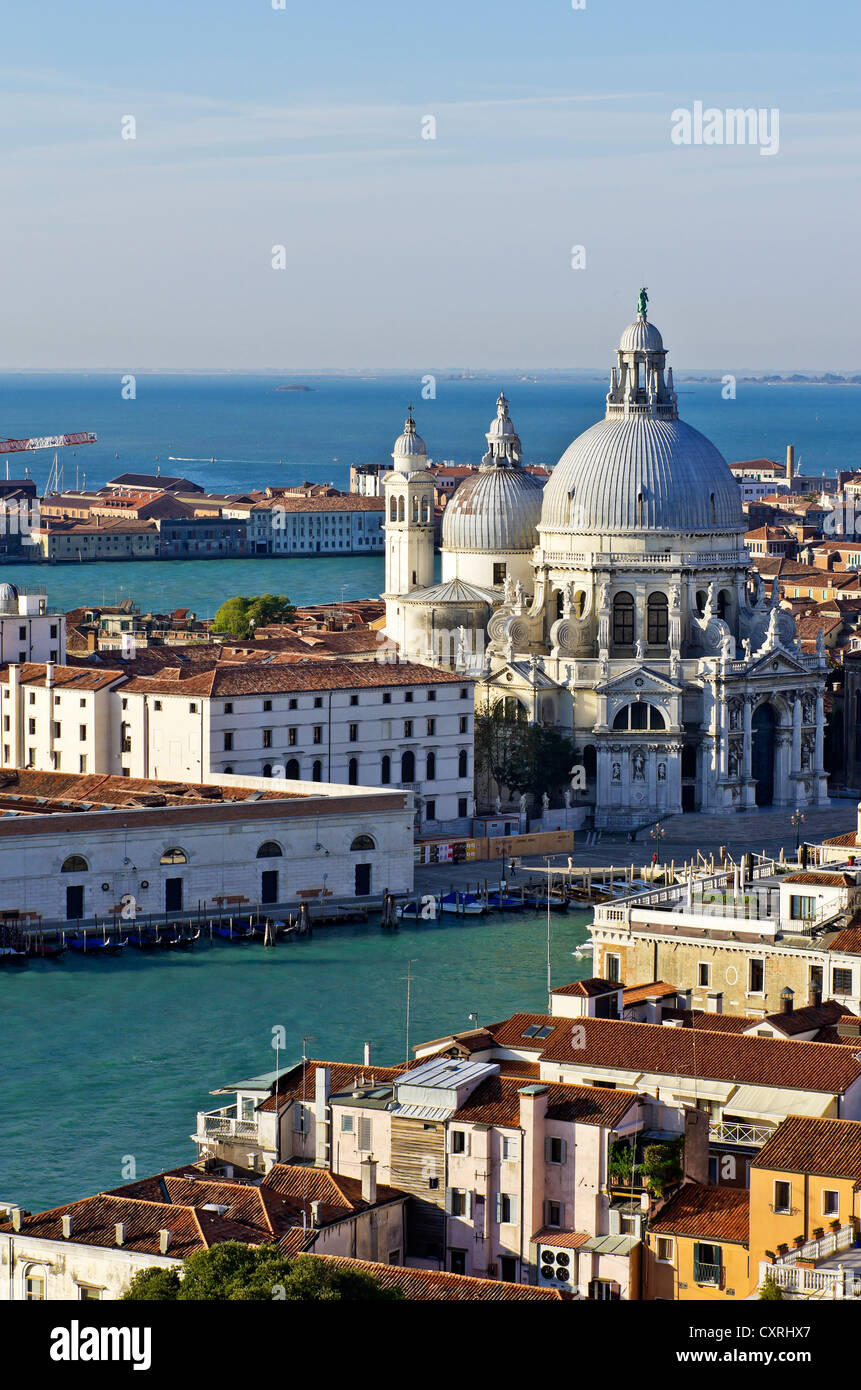 View of the Basilica of Santa Maria della Salute, Venice, Venezia, Veneto, Italy, Europe Stock Photo