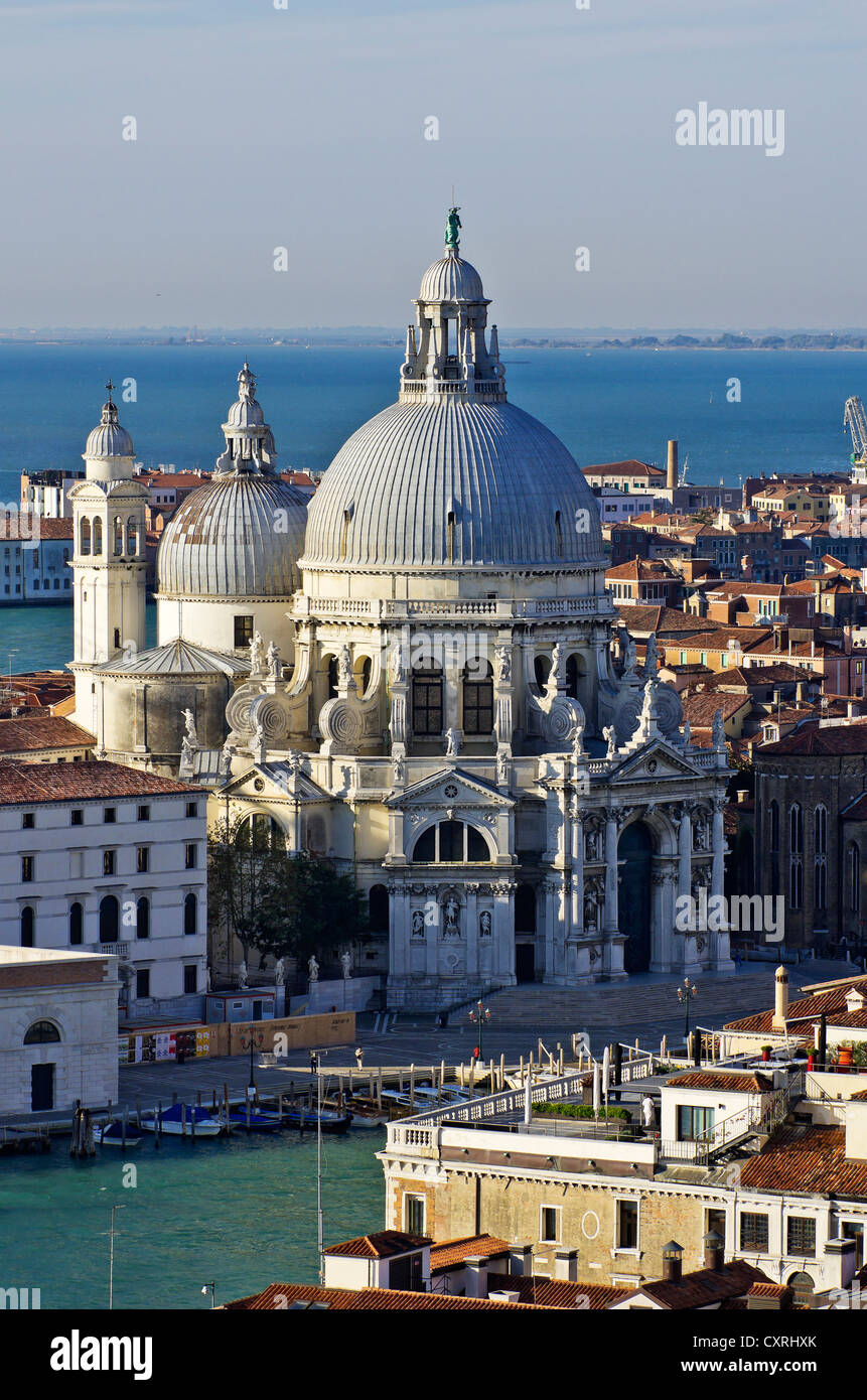 View of the Basilica of Santa Maria della Salute, Venice, Venezia, Veneto, Italy, Europe Stock Photo