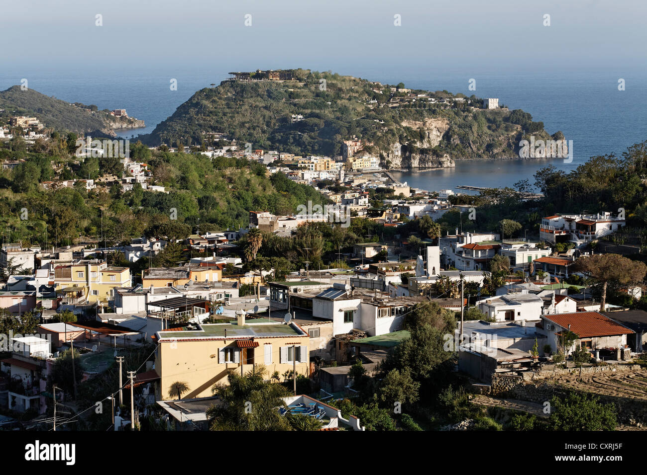 View of Lacco Ameno, Ischia Island, Gulf of Naples, Campania, Southern Italy, Italy, Europe Stock Photo