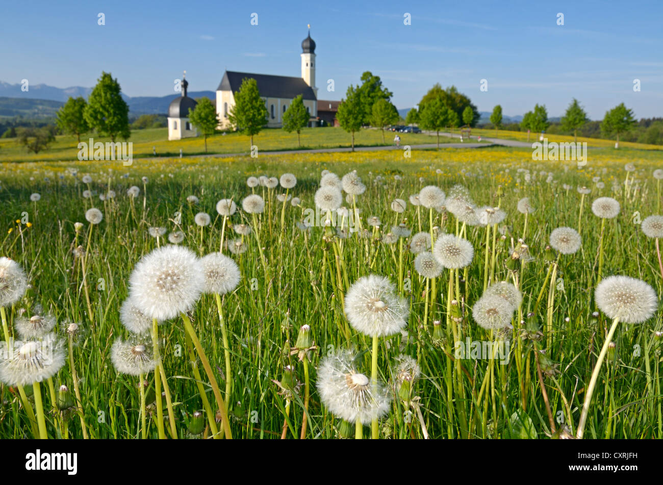 Young woman on a racing bicycle, Wilparting pilgrimage church, Irschenberg, Upper Bavaria, Bavaria, Germany, Europe Stock Photo