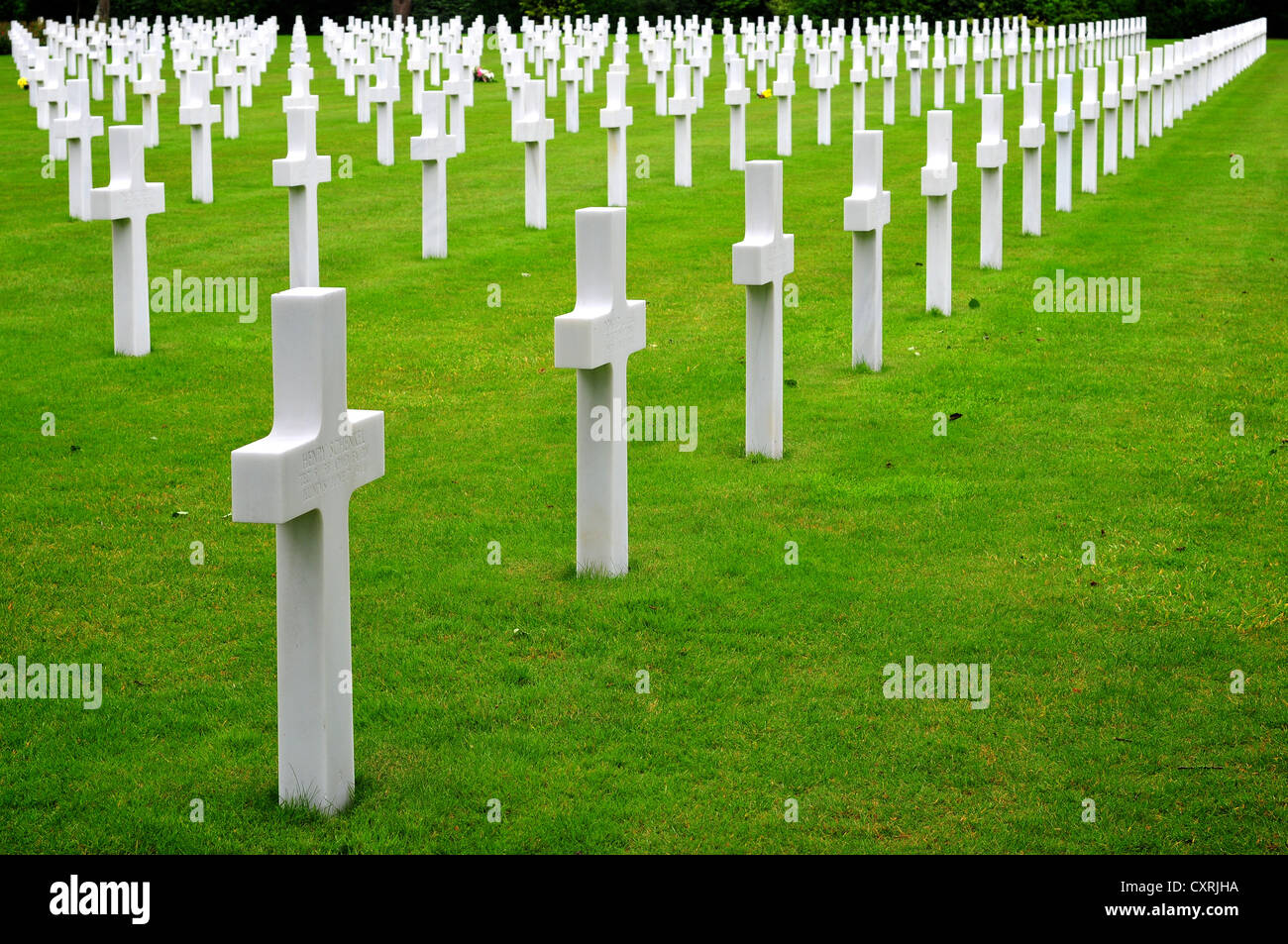 Graves at the American Cemetery and Memorial in Normandy, France Stock Photo