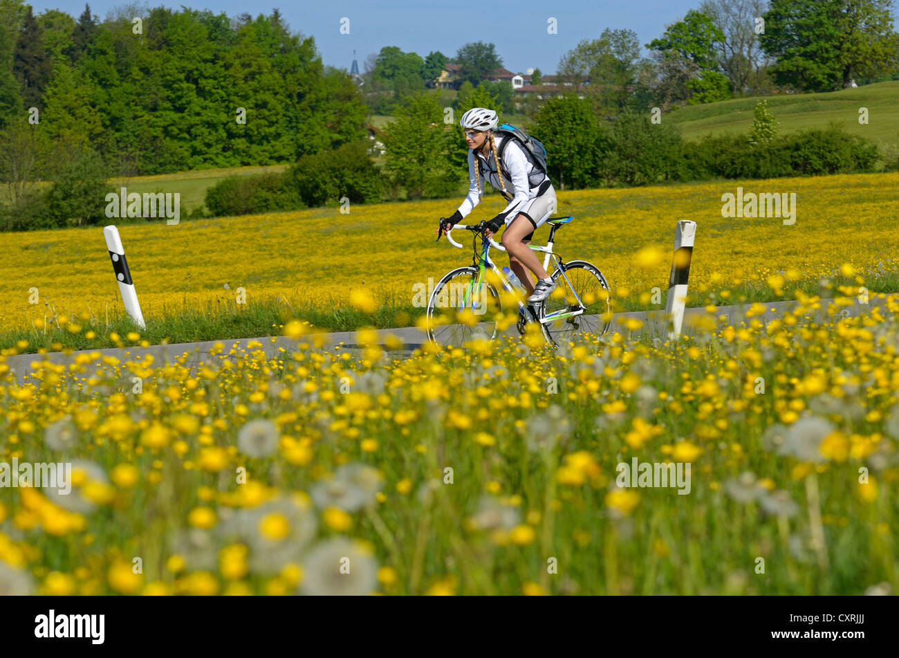 Young woman on a racing bicycle, Upper Bavaria, Bavaria, Germany, Europe Stock Photo