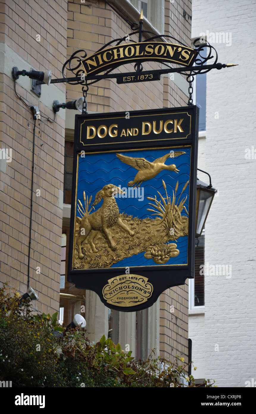 The dog and duck pub hires stock photography and images Alamy