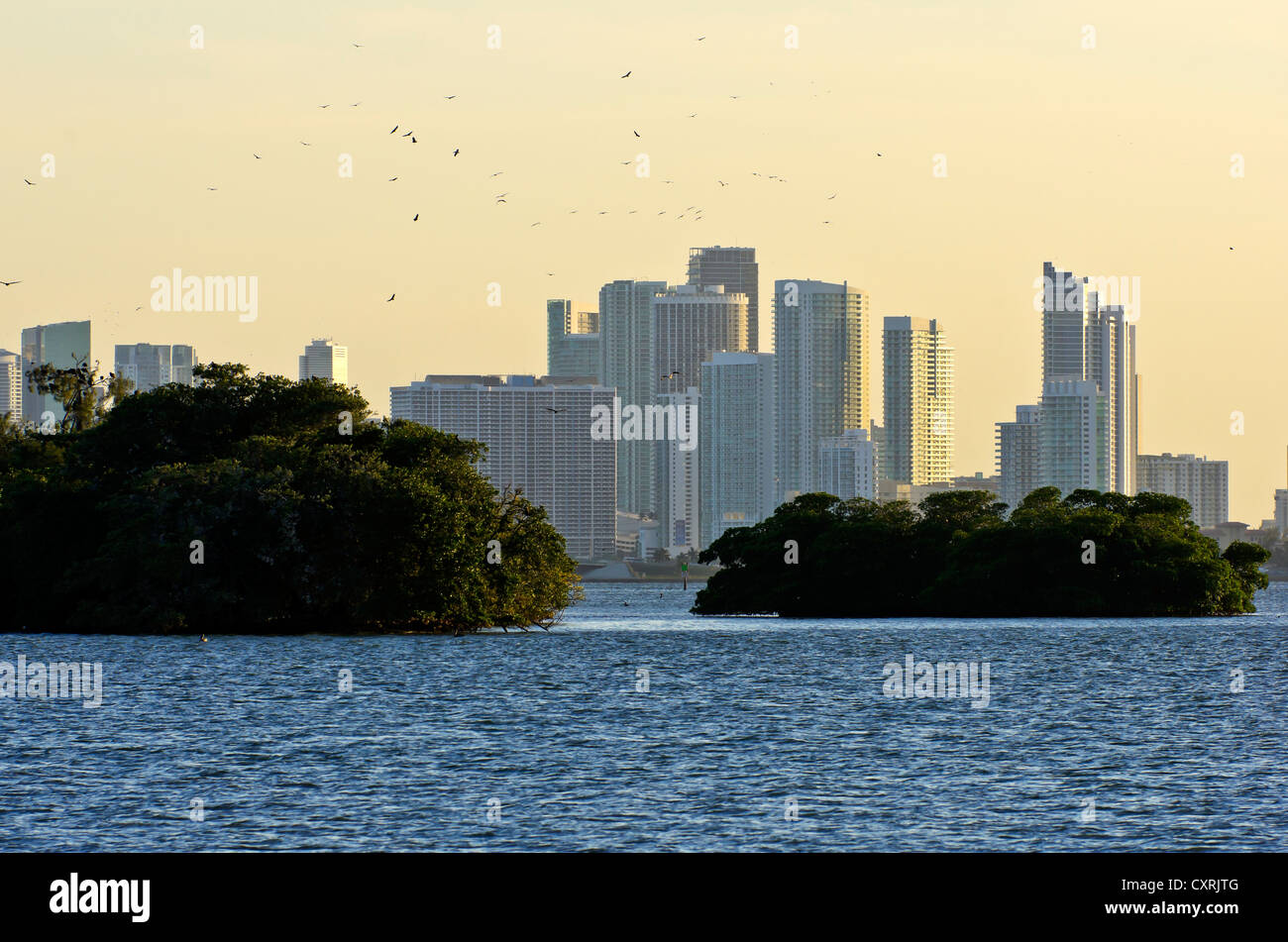 Housing complex at Mount Sinai Medical Center with small islands in the foreground, seen from Morningside Park, Miami, Florida Stock Photo