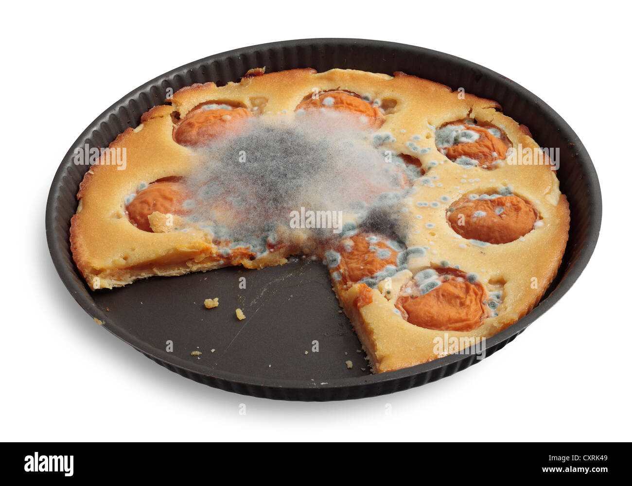 Fungus Mould on decaying Apricot Tart Stock Photo
