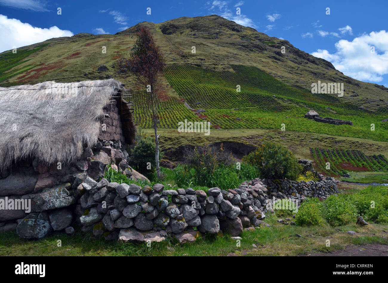 Farmhouse in the high Andes mountains, Lares Trek, near Cusco, Peru