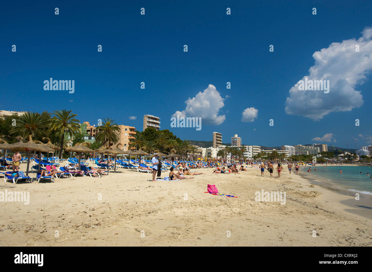 Beach of Magaluf, Mallorca, Majorca, Balearic Islands, Spain, Europe ...