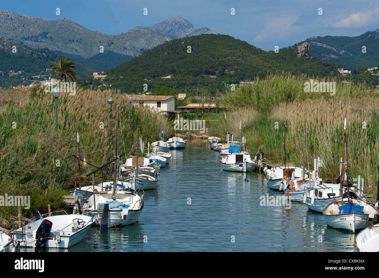 Small fishing harbour in the river, Port d'Andratx, Majorca, Balearic Islands, Spain, Europe Stock Photo