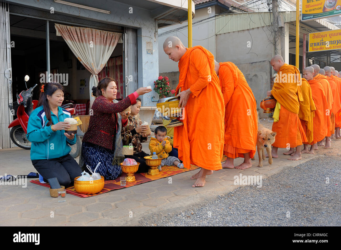 Buddhist mendicants receiving offerings from residents at the main road early in the morning, Phonsavan, Laos, Southeast Asia Stock Photo