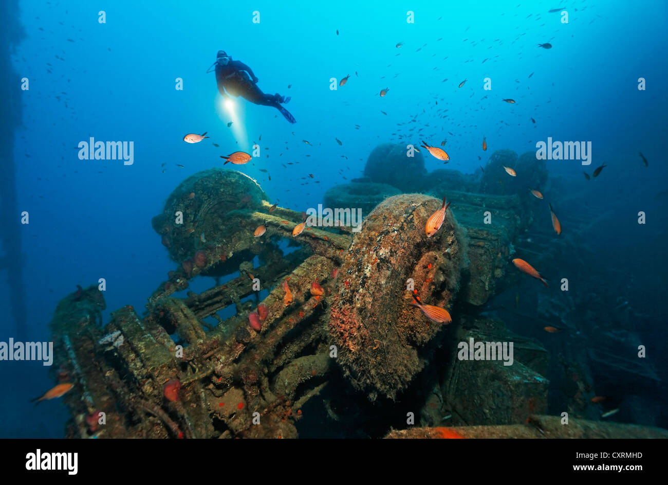Scuba diver with a lamp looking at the chassis of a truck, wreck of the Zenobia, Cyprus, Asia, Europe, Mediterranean Sea Stock Photo