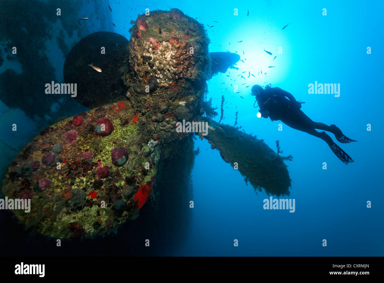 Backlit scuba diver with a lamp exploring a propeller, wreck of the Zenobia, Cyprus, Asia, Europe, Mediterranean Sea Stock Photo