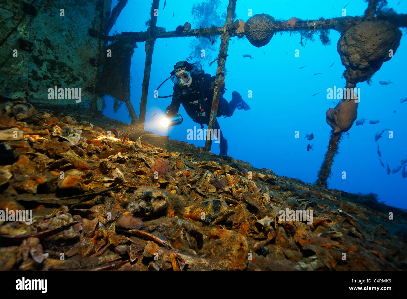 Scuba diver looking at horse bones in the cargo space, wreck of the Zenobia, Cyprus, Asia, Europe, Mediterranean Sea Stock Photo