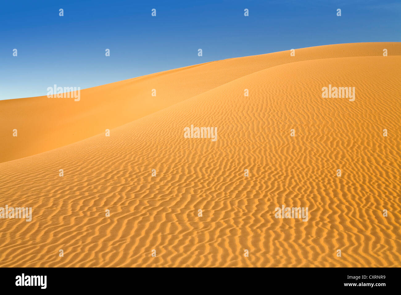 Wavy patterns in the sand dunes of the Libyan Desert, Sahara, Libya ...