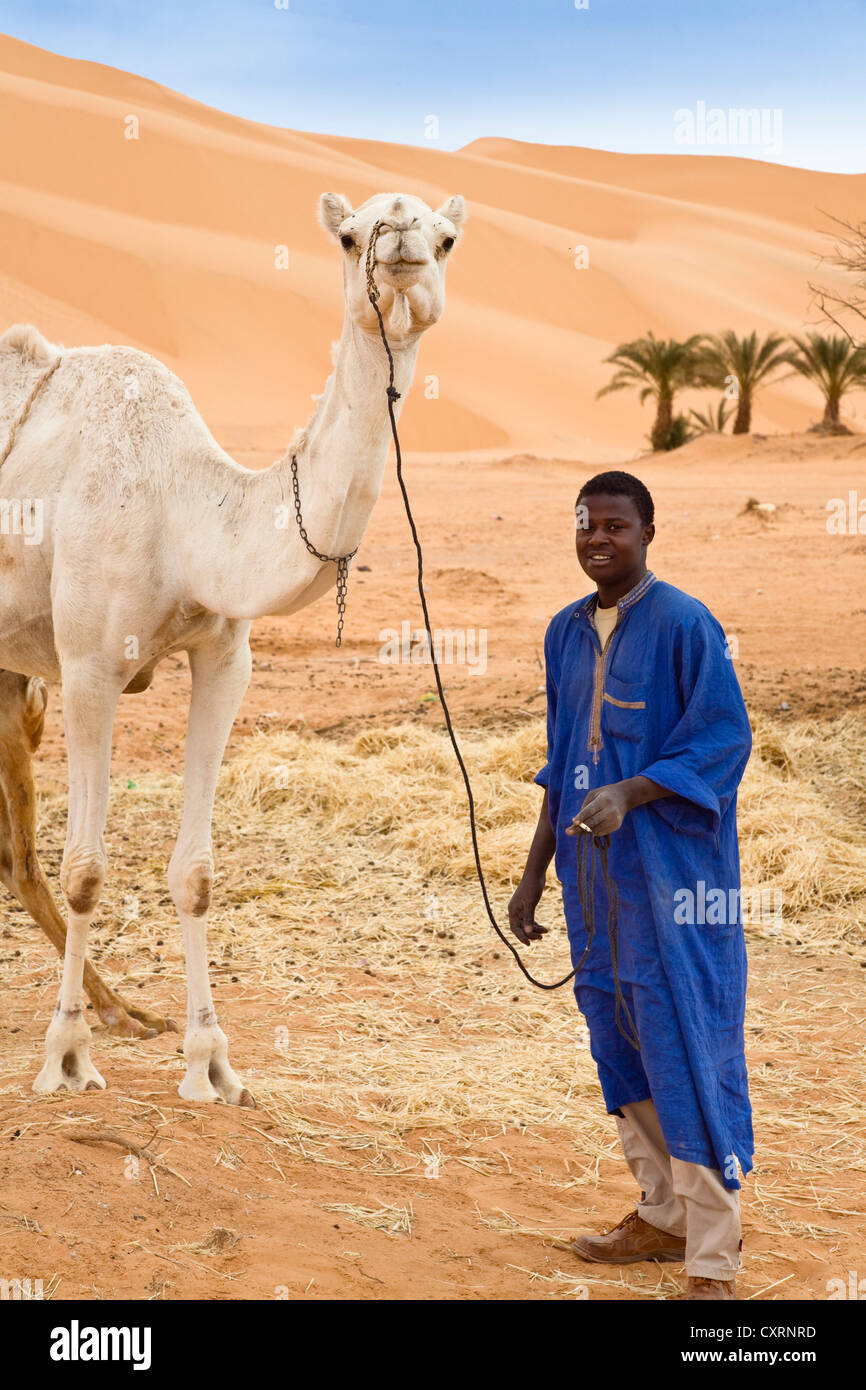 Tuareg man with a camel (Camelus dromedarius) near Germa, Libya, Sahara, North Africa, Africa Stock Photo