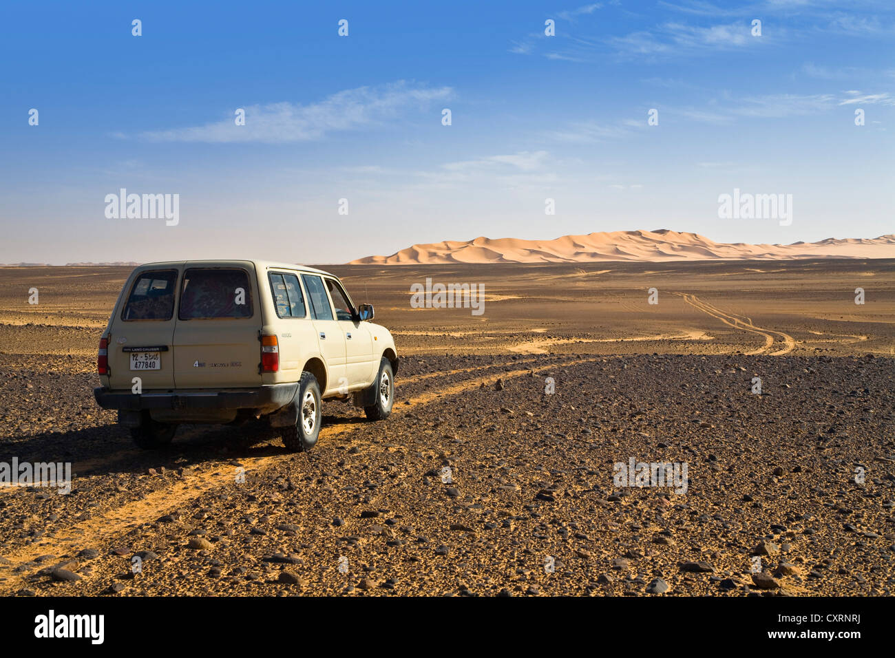 Jeep and car tracks in the Stony Desert, Libya, Sahara, North Africa, Africa Stock Photo