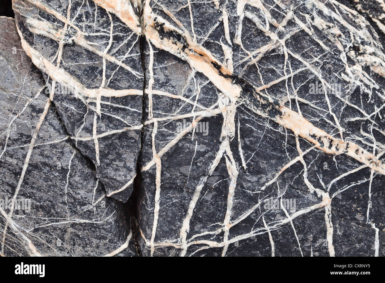 Quartz veins in a rock, Atlantic Coast, Portugal, Europe Stock Photo