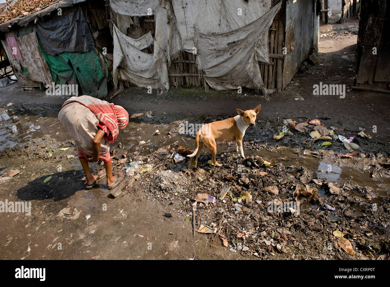 Woman, dog, waste, slum, Shibpur district, Haora or Howrah, Calcutta, Kolkata, West Bengal, India, Asia Stock Photo