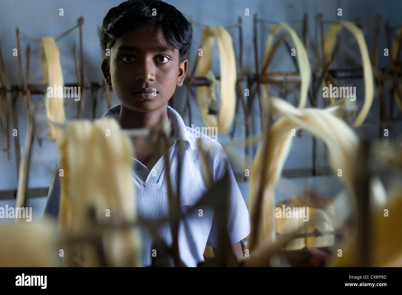 Child Labourer Working In A Mosquito Net Factory Karur South India 