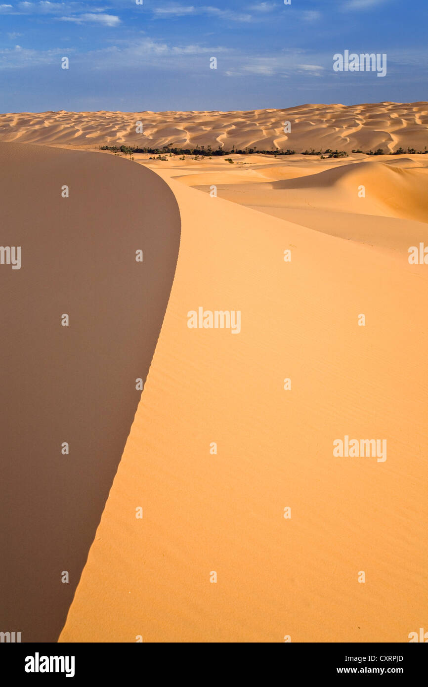 Um el Ma oasis and sand dunes, Libyan Desert, Libya, Africa Stock Photo