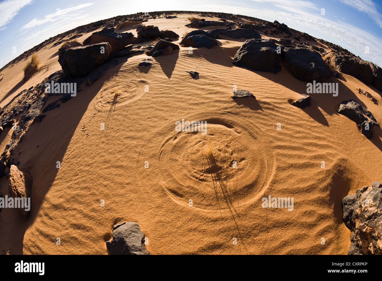 Blades of grass drawing circles in the sand, stone desert, Black Desert, Libya, Africa Stock Photo