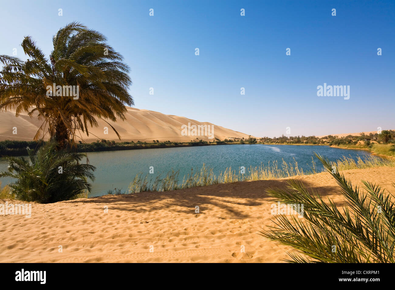 Lake Gabroon, Mandara lakes, Ubari sand dunes, Um el Ma oasis, Libyan Desert, Sahara, Libya, Africa Stock Photo
