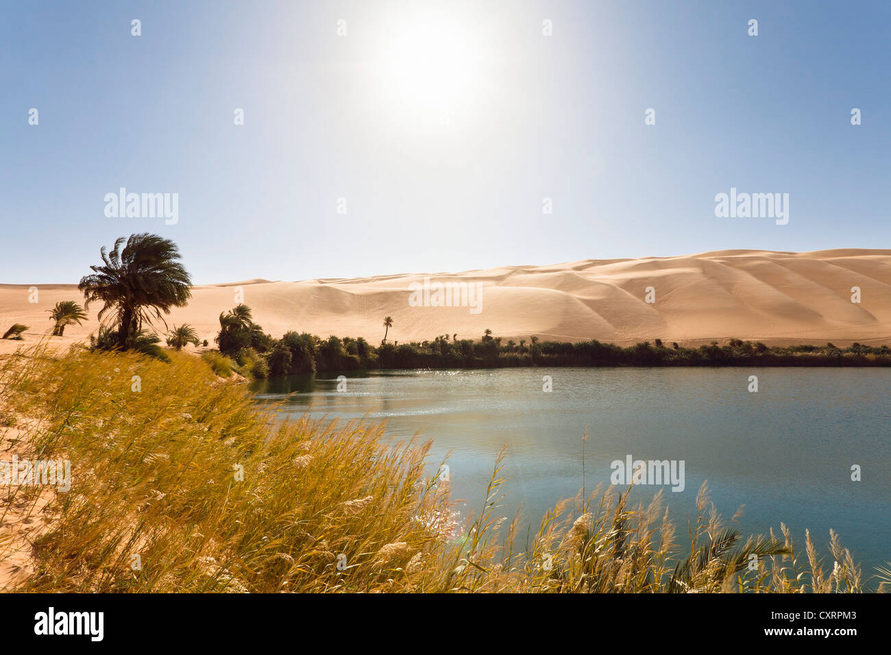 Lake Gabroon, Mandara lakes, Ubari sand dunes, Um el Ma oasis, sun, Libyan Desert, Sahara, Libya, Africa Stock Photo