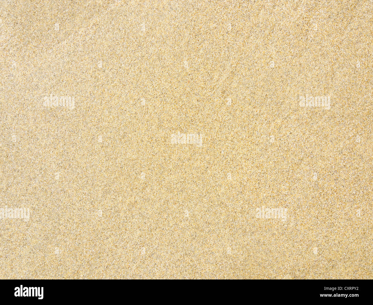 Golden sand beach hi-res stock photography and images - Alamy