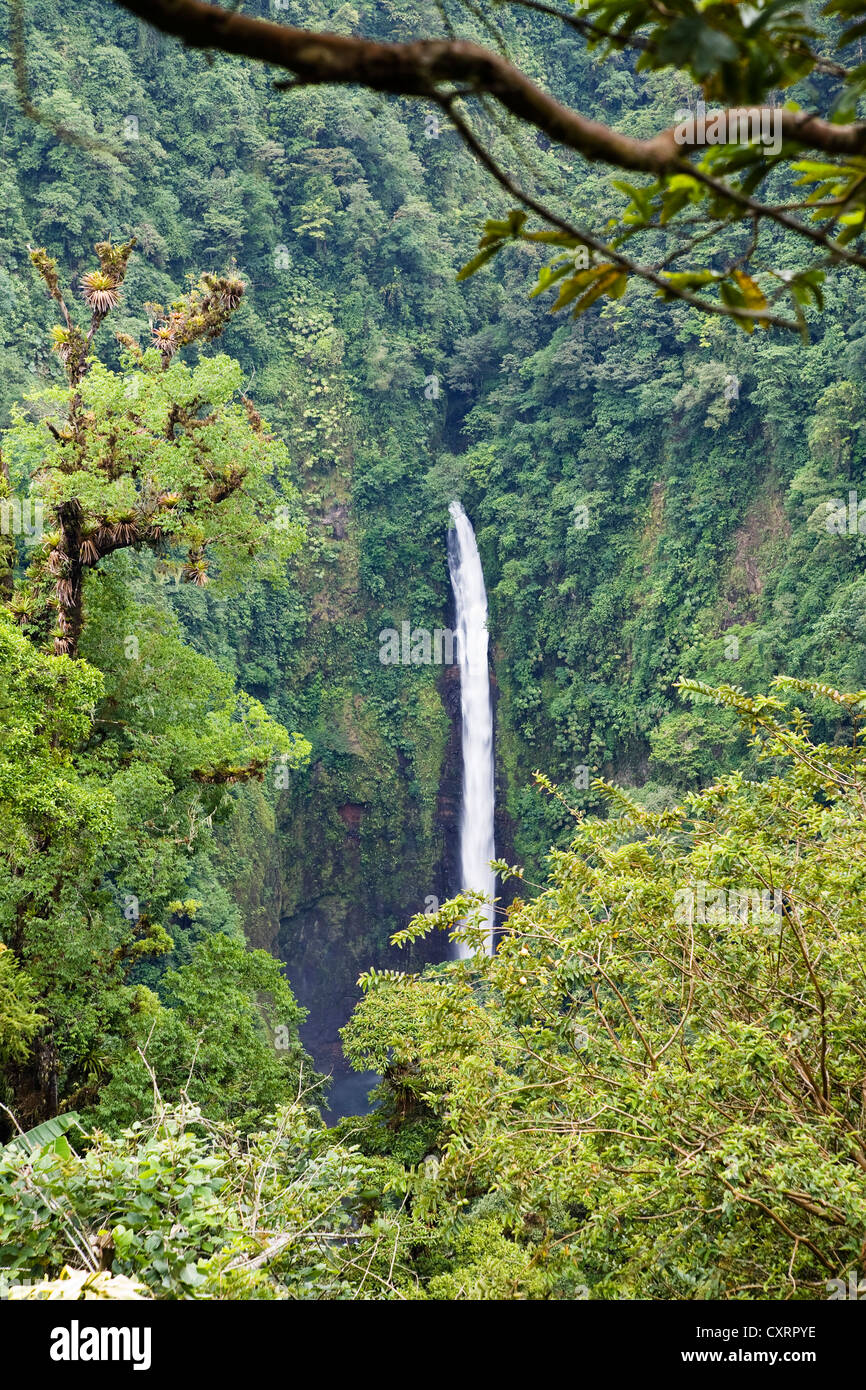La Paz waterfalls, rainforest, Costa Rica, Central America Stock Photo