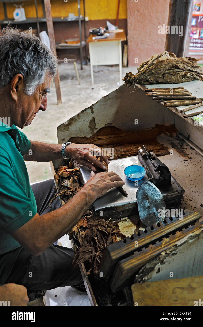 Rolling the covering leaf, cigar factory near San Ramon, Alajuela Province, Costa Rica, Central America Stock Photo
