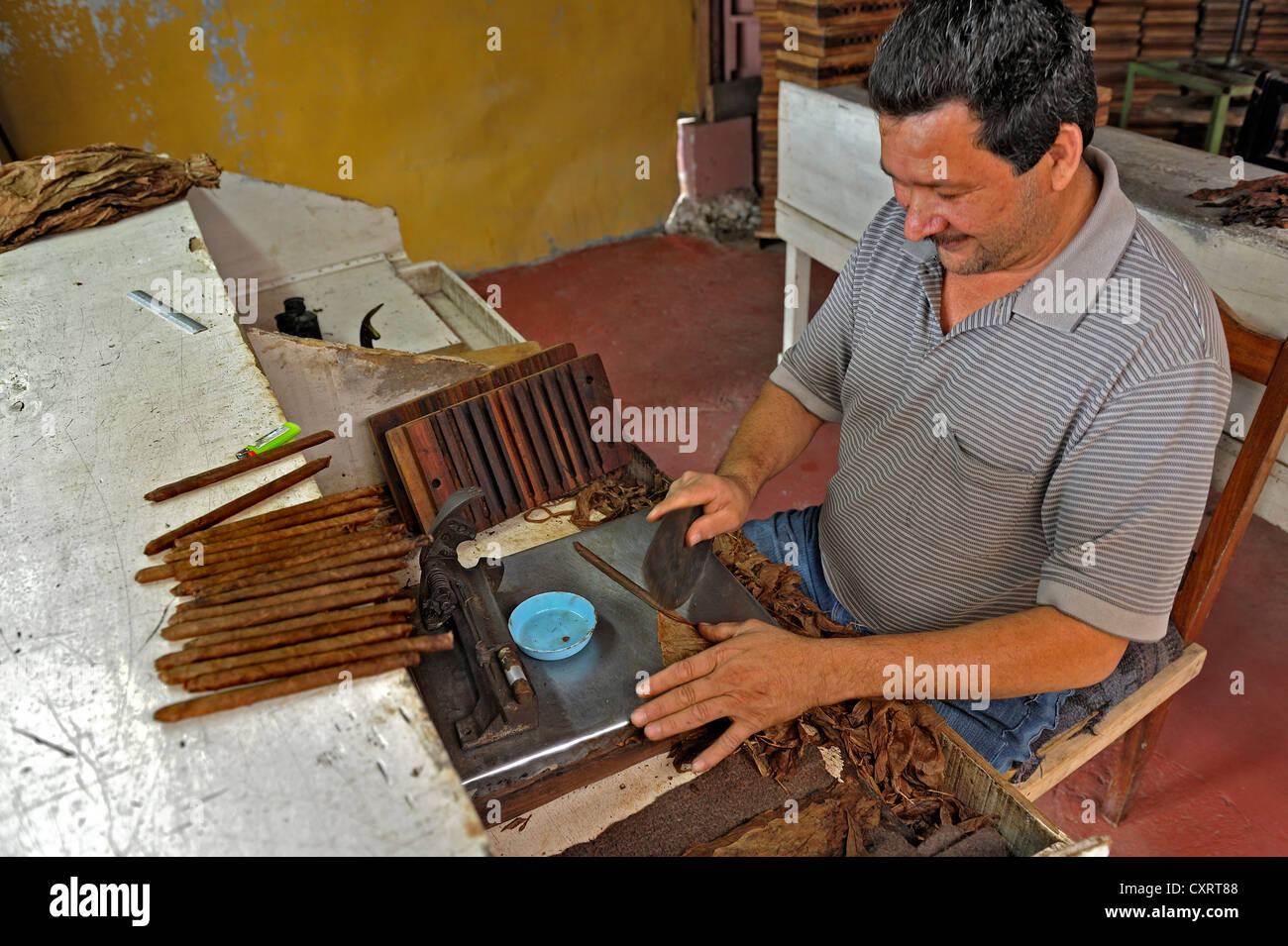 Rolling the covering leaf, cigar factory near San Ramon, Alajuela Province, Costa Rica, Central America Stock Photo
