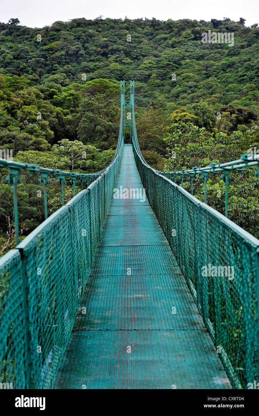 Suspension bridge in the cloud forest, Selvatura Park, Monteverde, province  of Alajuela, Costa Rica, Central America Stock Photo - Alamy