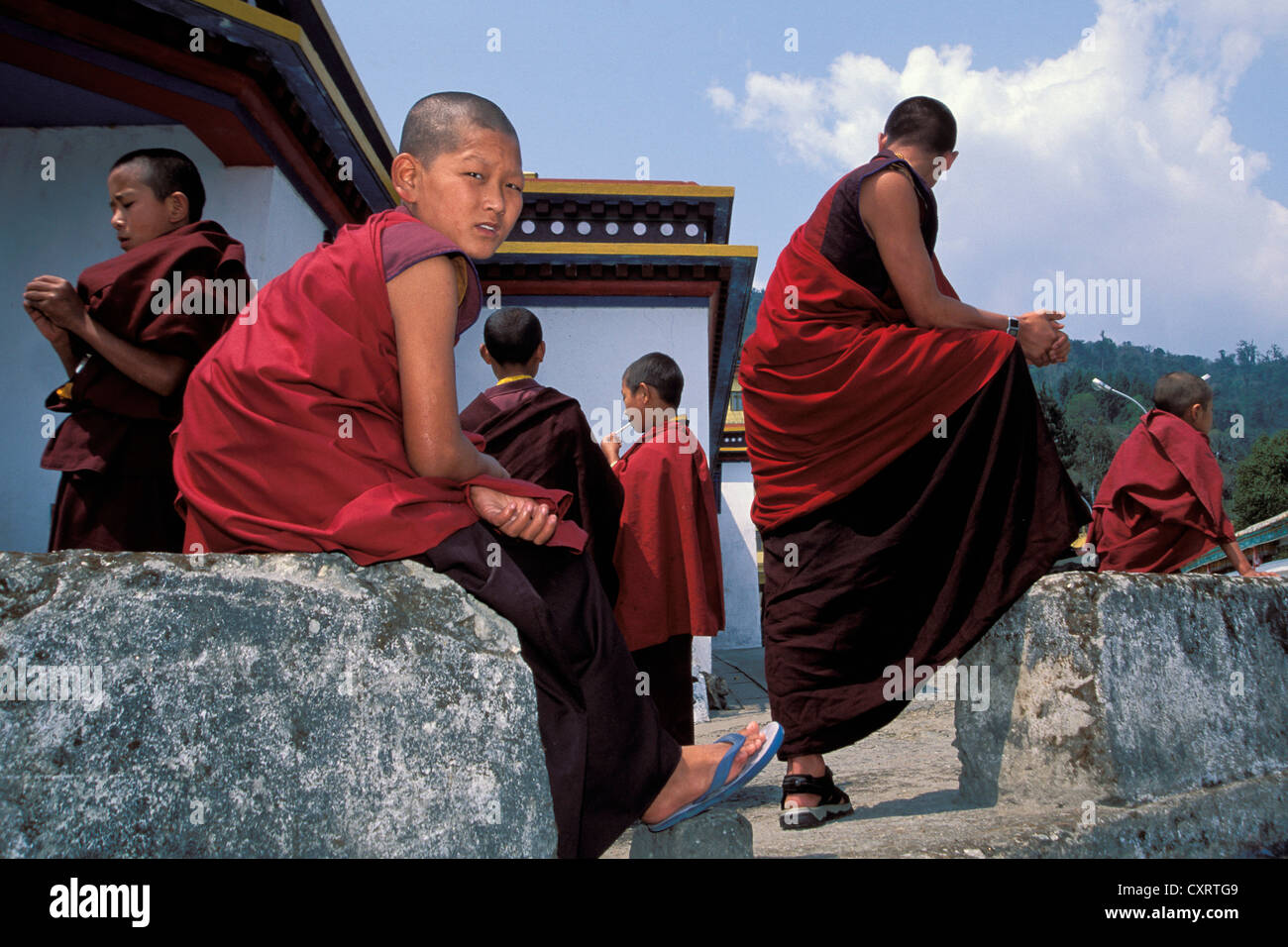 Monks, Tibetan Buddhism, Karma Kagyu lineage, Rumtek Monastery, near Gangtok, Sikkim, Indian