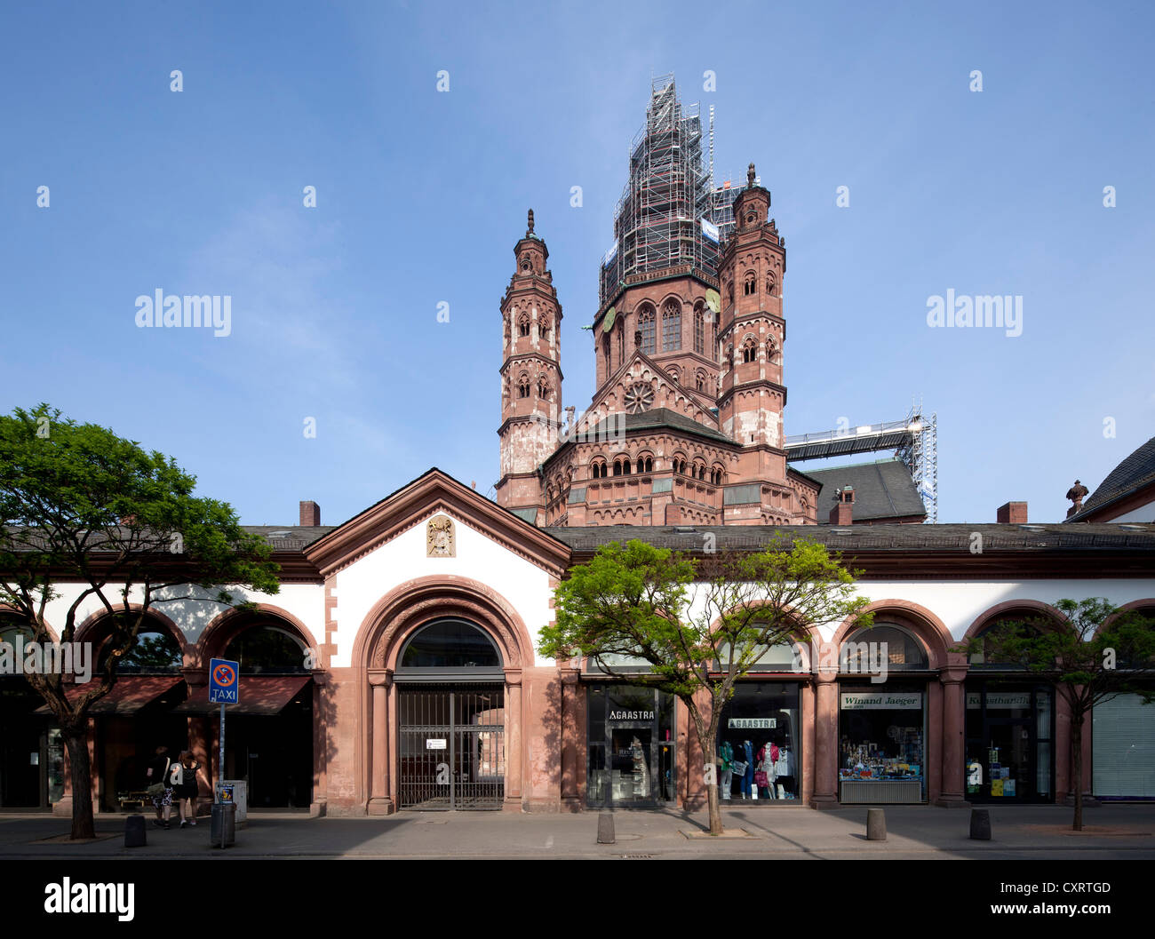 Mainz Cathedral or St. Martin's Cathedral, Mainz, Rhineland-Palatinate, Germany, Europe, PublicGround Stock Photo