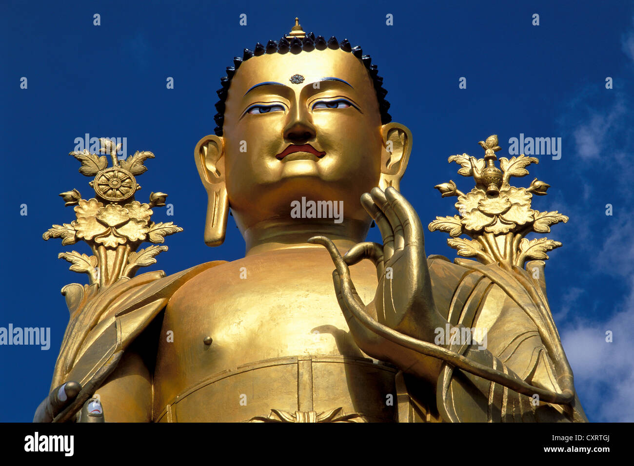 Golden Buddha statue, Maitreya, Jammu and Kashmir, Indian Himalayas