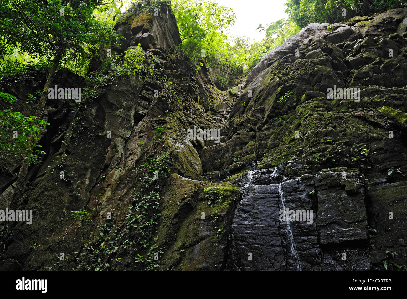 Waterfall, Rincon de la Vieja National Park, Guanacaste province, Costa Rica, Central America Stock Photo