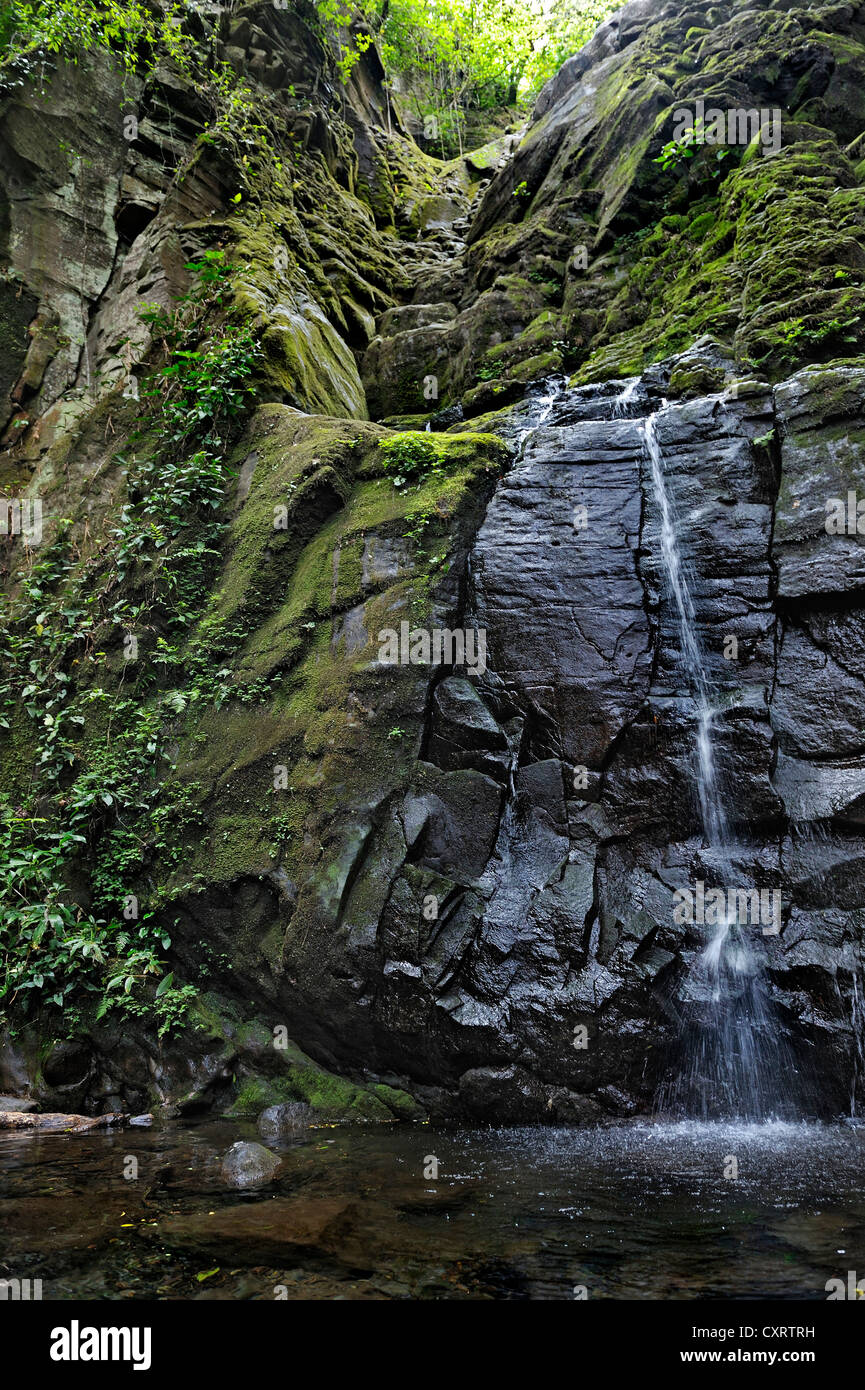 Waterfall, Rincon de la Vieja National Park, Guanacaste province, Costa Rica, Central America Stock Photo