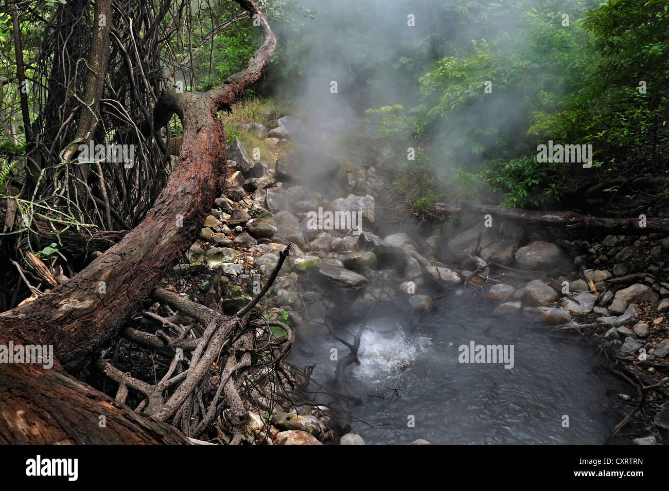Boiling water pond, Guanacaste province, Rincon de la Vieja National Park, Costa Rica, Central America Stock Photo