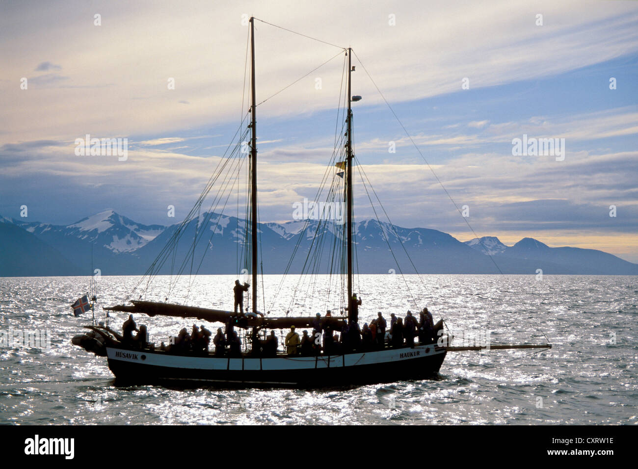 Whale watching excursions hi-res stock photography and images - Alamy