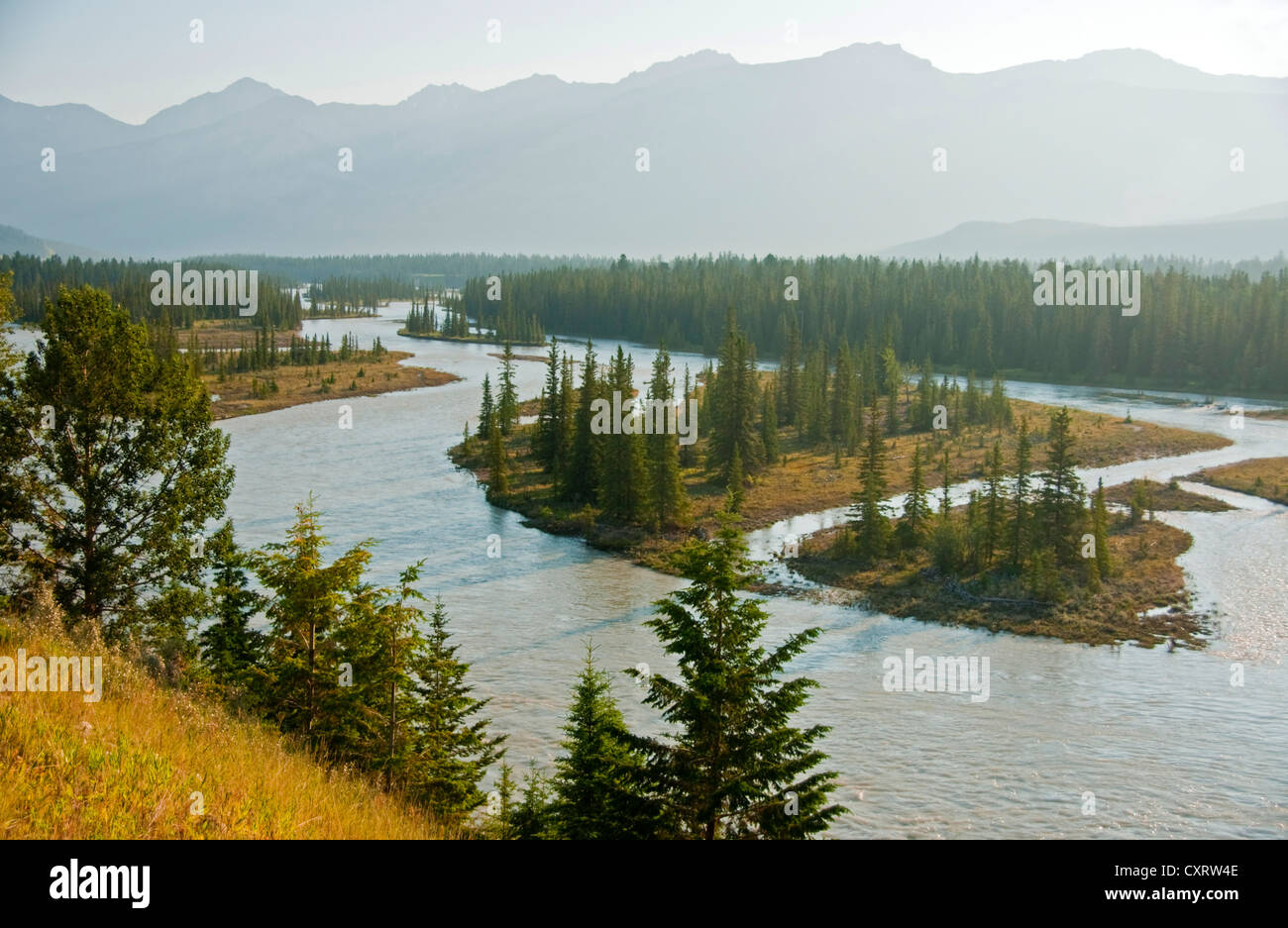 Meandering Athabasca River northeast of town of Jasper in Jasper National Park, Alberta. Stock Photo