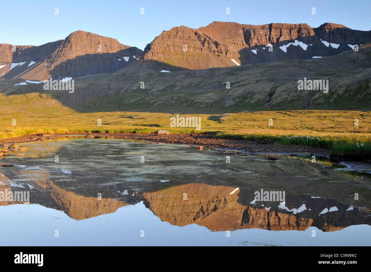 Reflection, small lake, Hloe uvík, Hloeduvik, Hornstrandir, Westfjords,  Iceland, Europe Stock Photo - Alamy