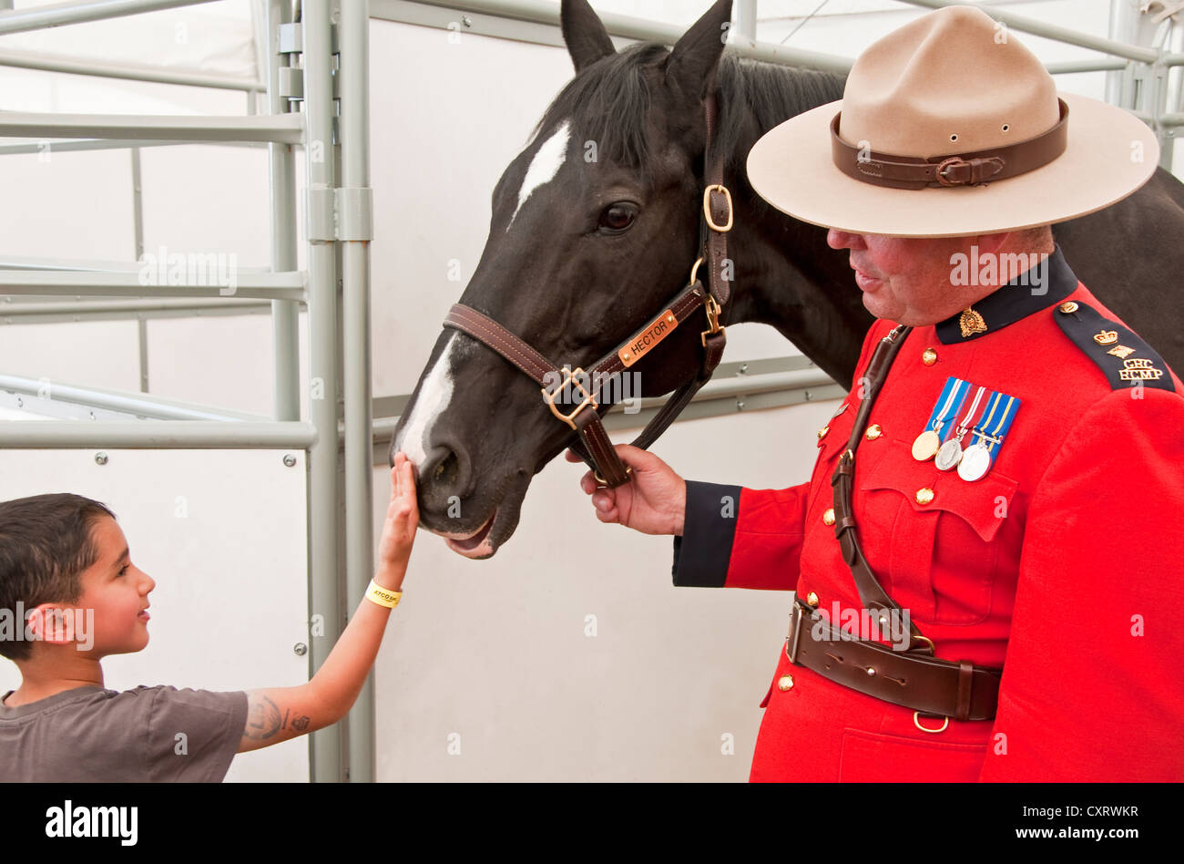 Young man meeting Hector, Royal Canadian Mounted Police horse, in stables at the Calgary Stampede 2012. Stock Photo