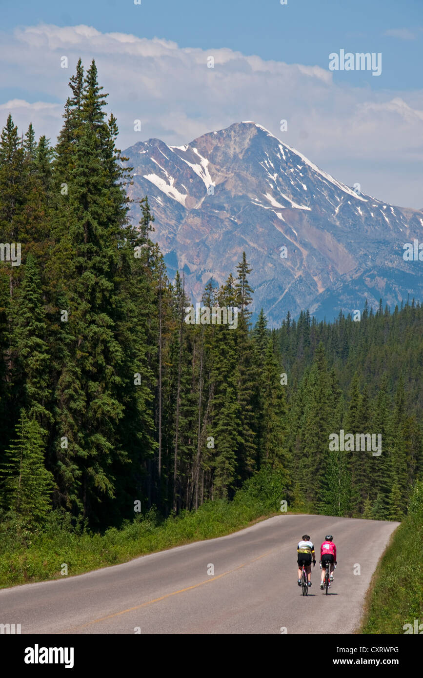 Bicyclists on road from Maligne Lake in Jasper National Park, Alberta. Stock Photo