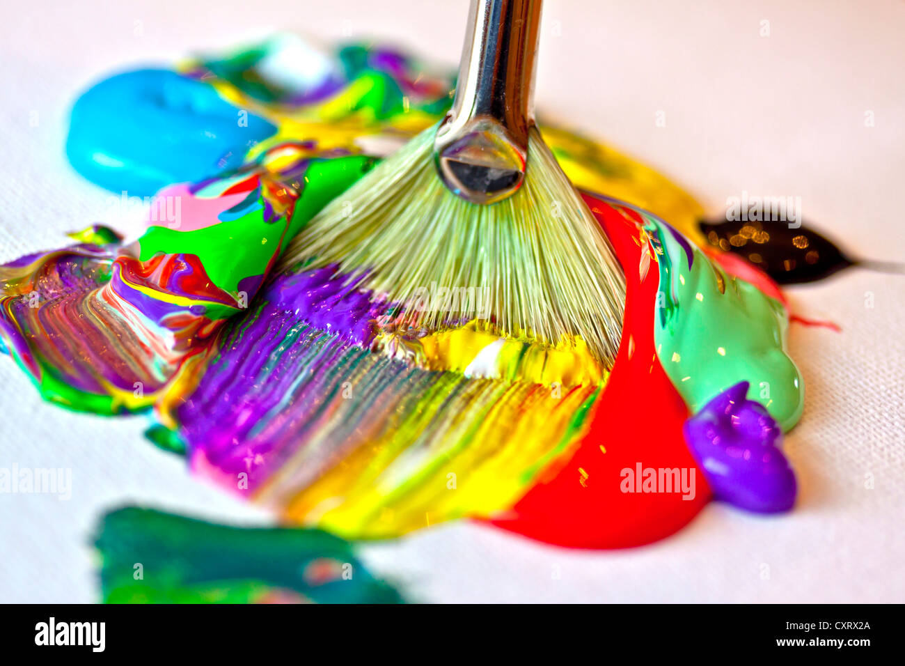 Brush and acrylic paints, acrylic painting Stock Photo Alamy