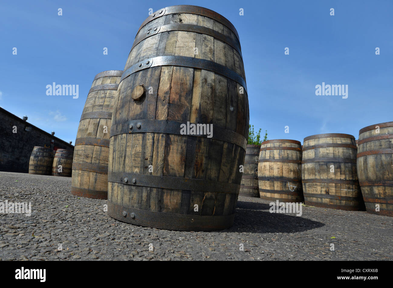 Whiskey barrels from America which had been used as Boubon whiskey barrels, now waiting to be reused for Scotch Single Malt Stock Photo
