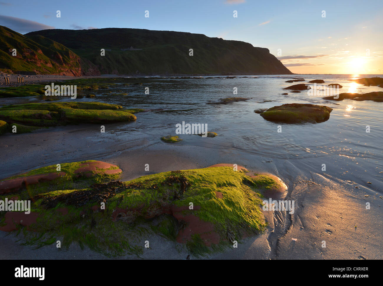 Low sun, summer solstice, algae-covered rocks in the sea at low tide, cliffs at Gardenstown, Banffshire, Scotland Stock Photo