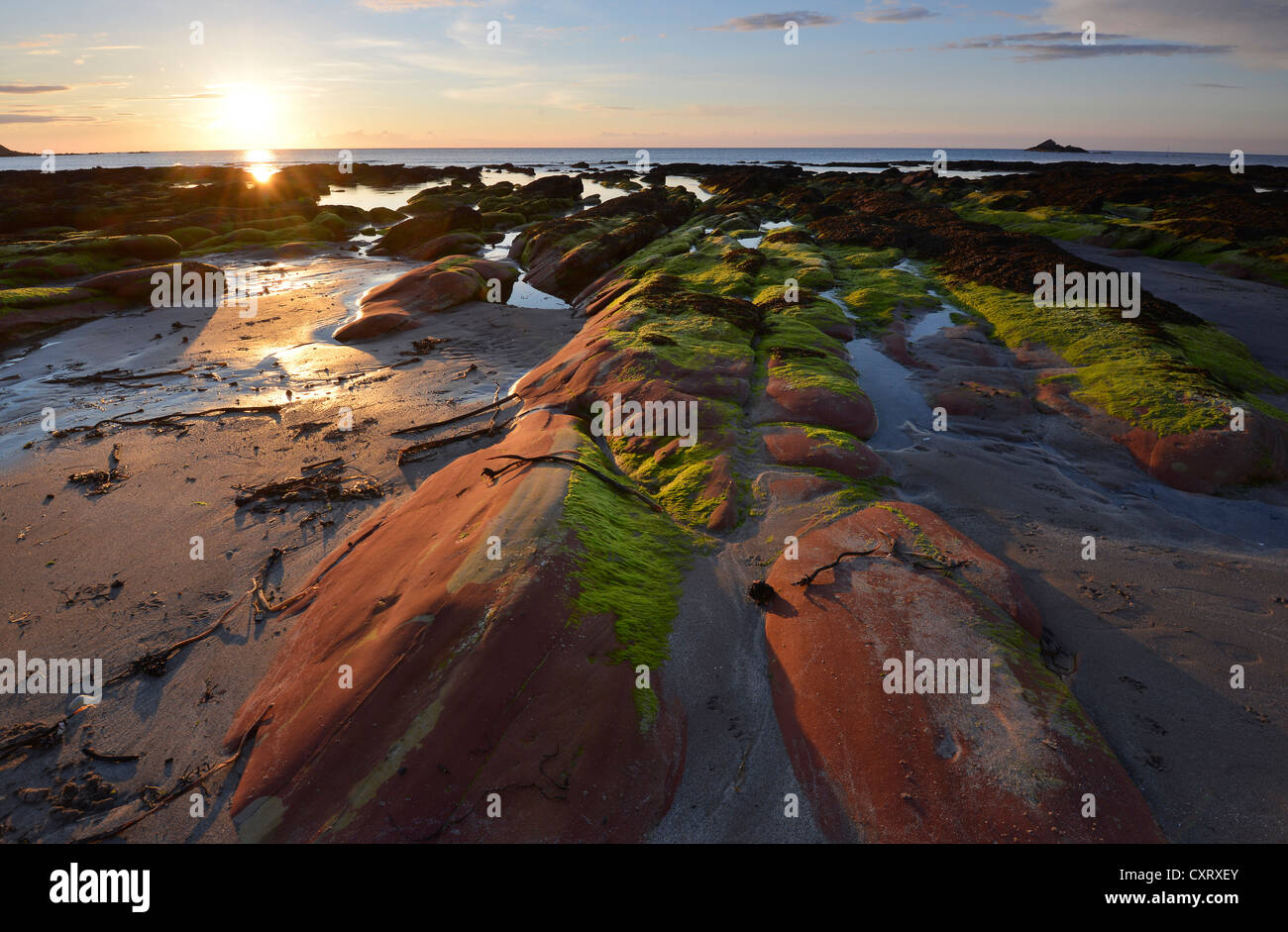 Low sun, summer solstice, algae-covered rocks in the sea at low tide, cliffs at Gardenstown, Banffshire, Scotland Stock Photo