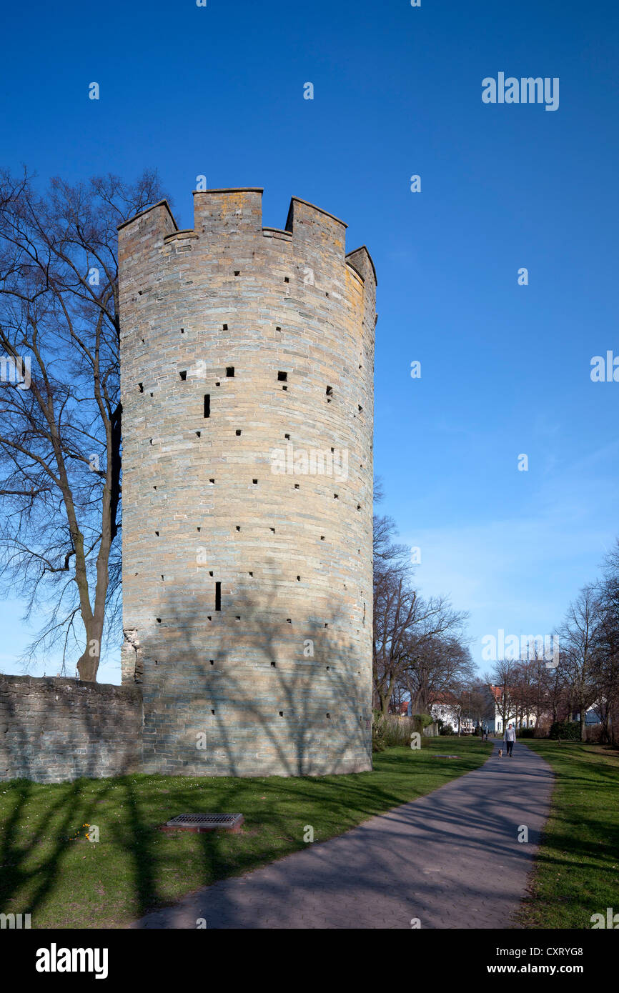 Kattenturm tower, medieval city walls, Soest, North Rhine-Westphalia, Germany, Europe, PublicGround Stock Photo