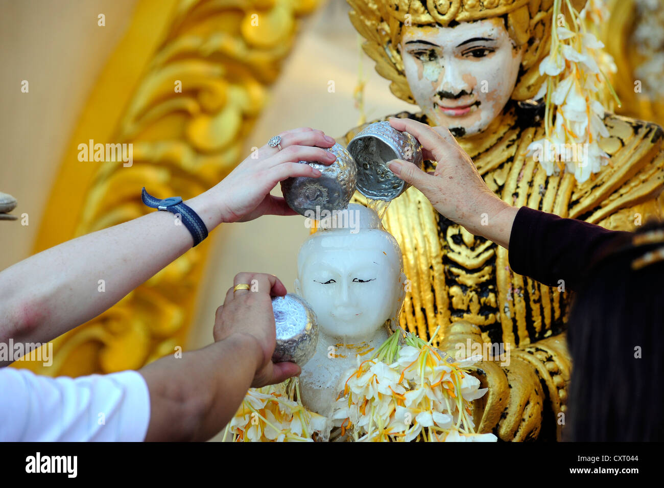 Buddhists during the ritual washing of a Buddha statue, Shwedagon Pagoda, Yangon, Burma also known as Myanmar, Southeast Asia Stock Photo