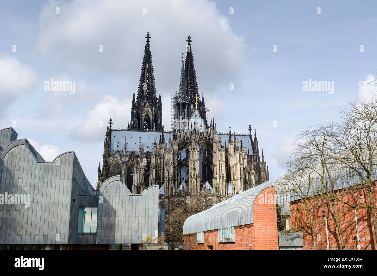 View from Heinrich-Boell-Platz square towards Cologne Cathedral, Cologne Philharmonic Hall on the left, Cologne Stock Photo