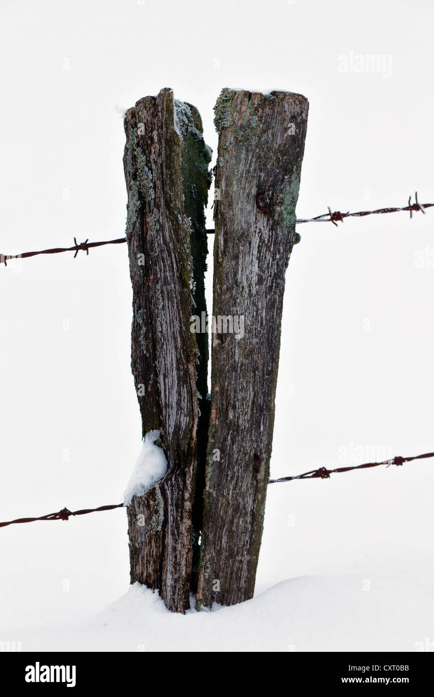 Fence post in the snow, Bergneustadt, North Rhine-Westphalia, Germany, Europe Stock Photo